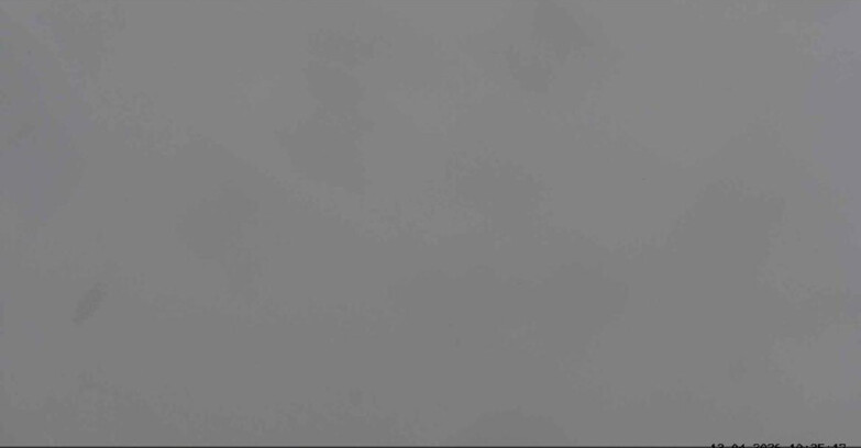 Webcam San Martino di Castrozza - Passo Rolle - Sentiero delle Marmotte