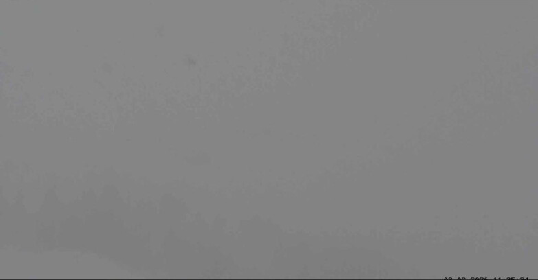 Webcam San Martino di Castrozza - Passo Rolle - Malga Tognola