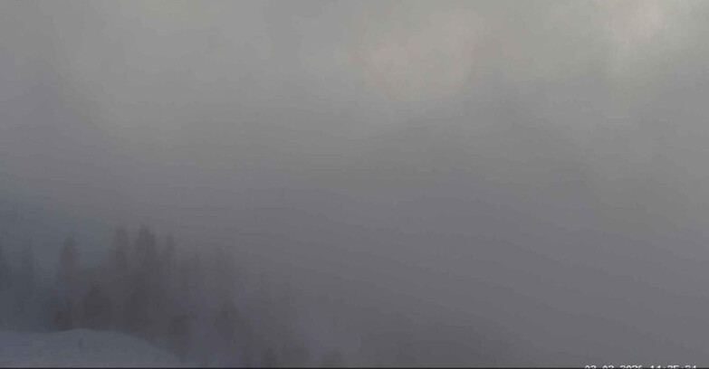 Webcam San Martino di Castrozza - Passo Rolle - Malga Tognola