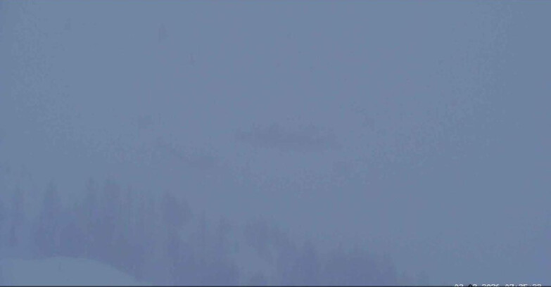 Webcam San Martino di Castrozza - Passo Rolle - Malga Tognola