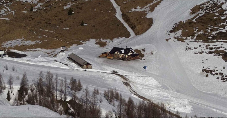 Webcam Сан-Мартино-ди-Кастроцца - Пассо-Ролле - Malga Tognola