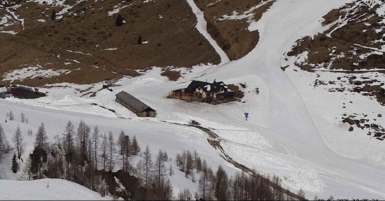 Webcam Сан-Мартино-ди-Кастроцца - Пассо-Ролле - Malga Tognola