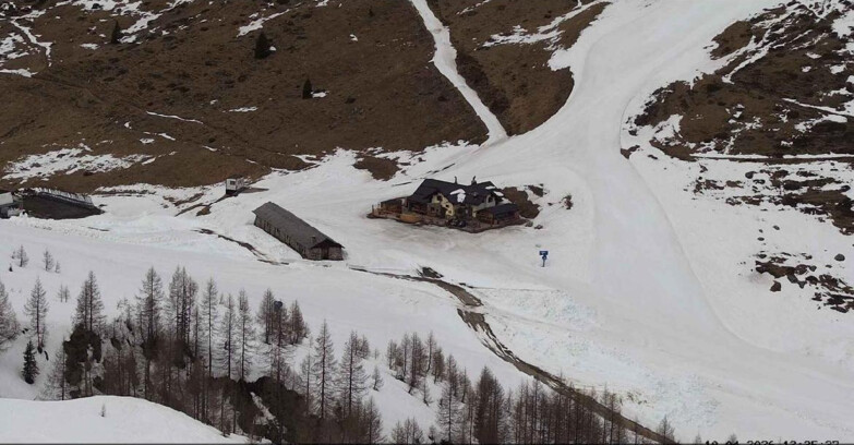 Webcam Сан-Мартино-ди-Кастроцца - Пассо-Ролле - Malga Tognola
