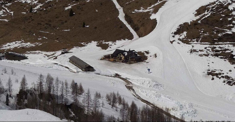 Webcam Сан-Мартино-ди-Кастроцца - Пассо-Ролле - Malga Tognola