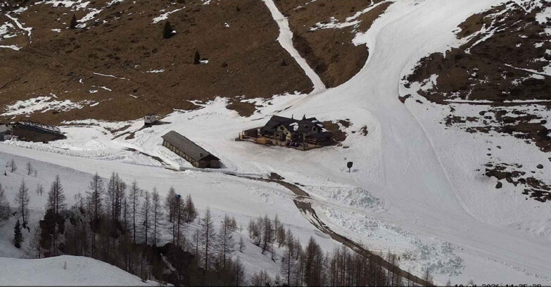 Webcam Сан-Мартино-ди-Кастроцца - Пассо-Ролле - Malga Tognola