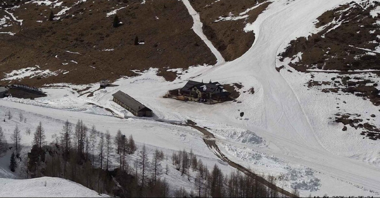 Webcam Сан-Мартино-ди-Кастроцца - Пассо-Ролле - Malga Tognola