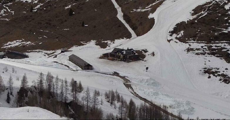 Webcam Сан-Мартино-ди-Кастроцца - Пассо-Ролле - Malga Tognola