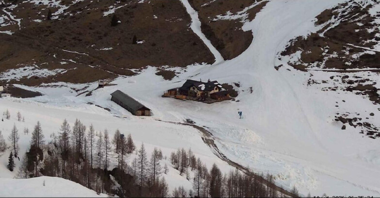 Webcam Сан-Мартино-ди-Кастроцца - Пассо-Ролле - Malga Tognola