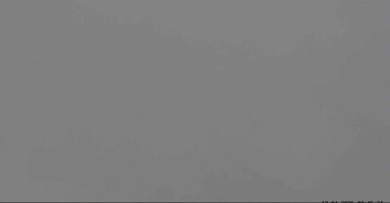 Webcam San Martino di Castrozza - Passo Rolle  - Malga Tognola