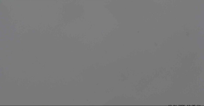 Webcam San Martino di Castrozza - Passo Rolle  - Malga Tognola