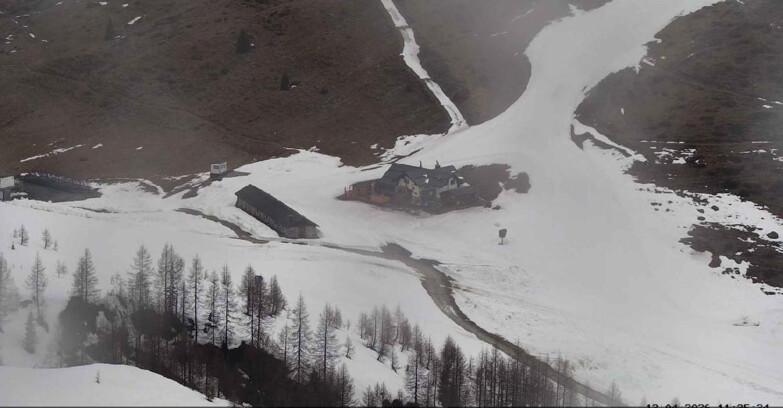 Webcam San Martino di Castrozza - Passo Rolle  - Malga Tognola
