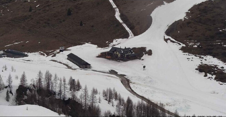 Webcam San Martino di Castrozza - Passo Rolle  - Malga Tognola