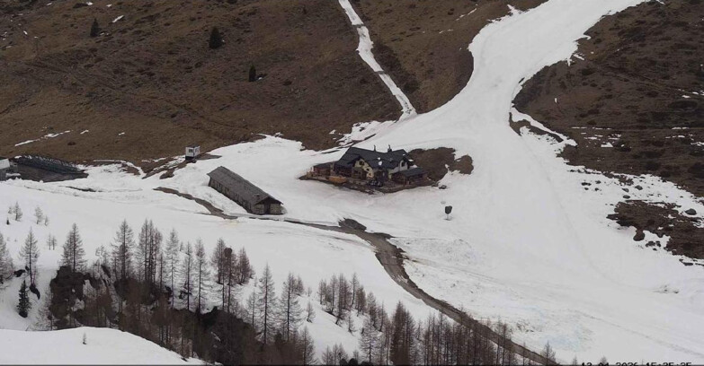 Webcam San Martino di Castrozza - Passo Rolle  - Malga Tognola