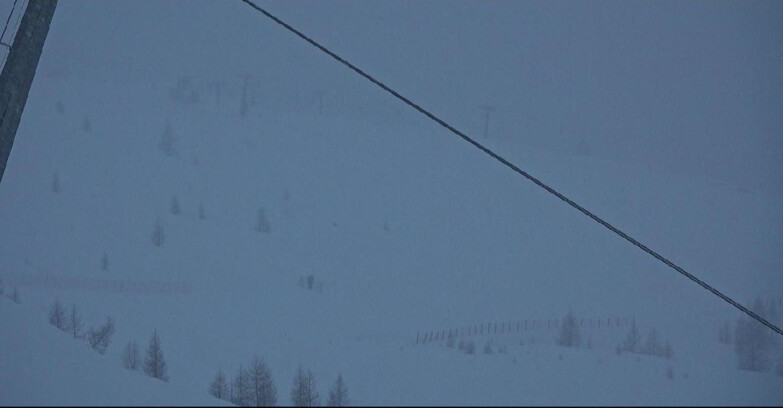 Webcam Сан-Мартино-ди-Кастроцца - Пассо-Ролле - Tognola - Rododendro