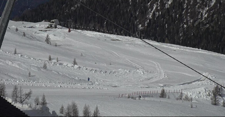 Webcam Сан-Мартино-ди-Кастроцца - Пассо-Ролле - Tognola - Rododendro