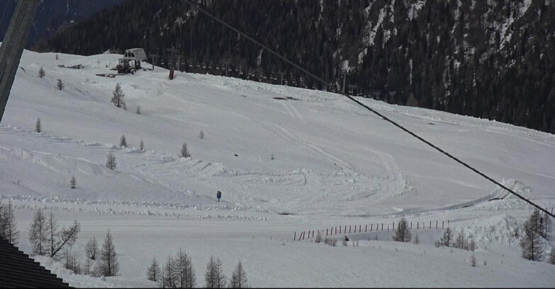 Webcam Сан-Мартино-ди-Кастроцца - Пассо-Ролле - Tognola - Rododendro