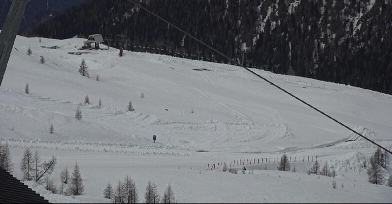 Webcam Сан-Мартино-ди-Кастроцца - Пассо-Ролле - Tognola - Rododendro