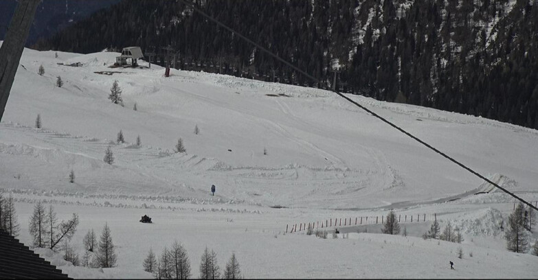 Webcam Сан-Мартино-ди-Кастроцца - Пассо-Ролле - Tognola - Rododendro