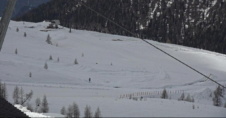 Webcam Сан-Мартино-ди-Кастроцца - Пассо-Ролле - Tognola - Rododendro