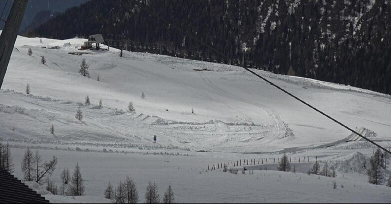 Webcam Сан-Мартино-ди-Кастроцца - Пассо-Ролле - Tognola - Rododendro