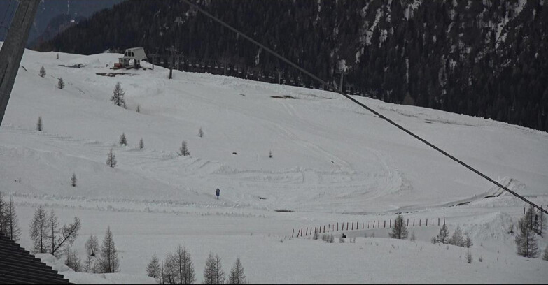 Webcam Сан-Мартино-ди-Кастроцца - Пассо-Ролле - Tognola - Rododendro