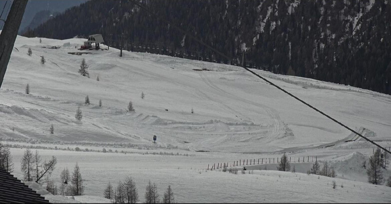 Webcam Сан-Мартино-ди-Кастроцца - Пассо-Ролле - Tognola - Rododendro