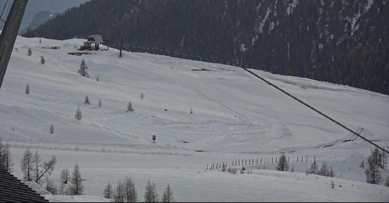 Webcam Сан-Мартино-ди-Кастроцца - Пассо-Ролле - Tognola - Rododendro