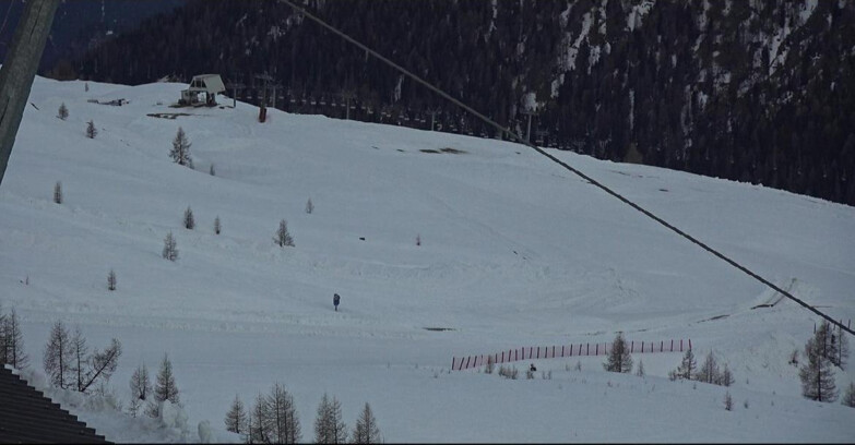 Webcam Сан-Мартино-ди-Кастроцца - Пассо-Ролле - Tognola - Rododendro