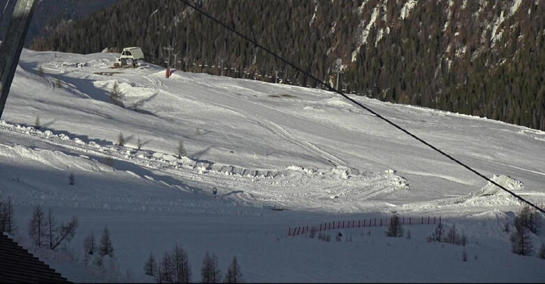 Webcam Сан-Мартино-ди-Кастроцца - Пассо-Ролле - Tognola - Rododendro