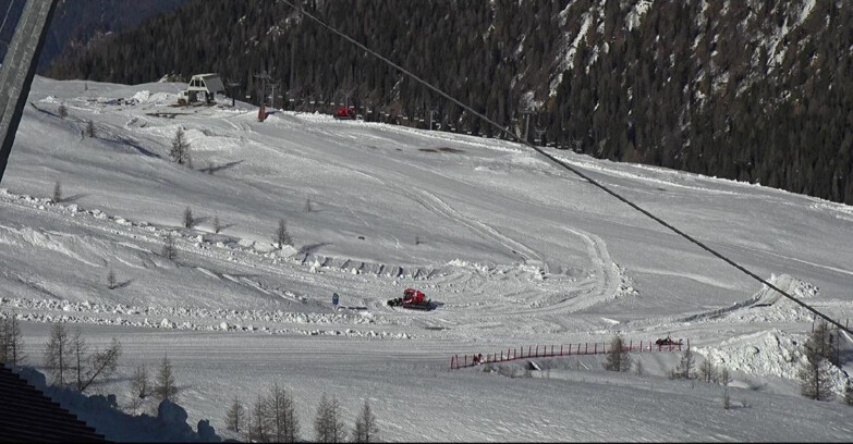 Webcam Сан-Мартино-ди-Кастроцца - Пассо-Ролле - Tognola - Rododendro