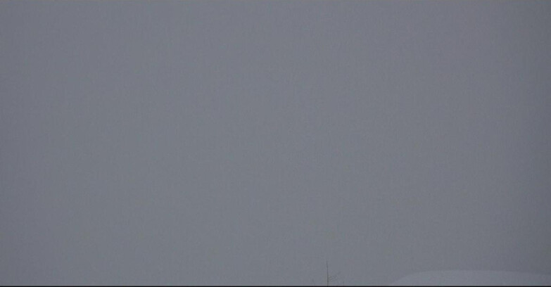 Webcam San Martino di Castrozza - Passo Rolle - Tognola - Pista Cigolera