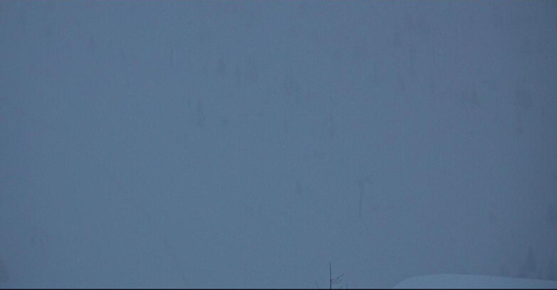 Webcam San Martino di Castrozza - Passo Rolle - Tognola - Pista Cigolera