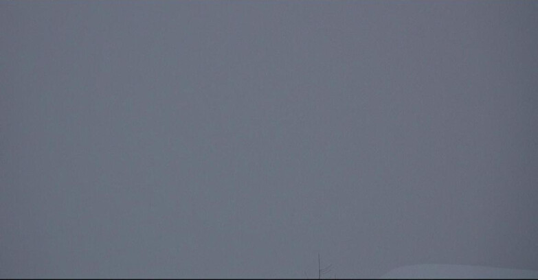 Webcam San Martino di Castrozza - Passo Rolle - Tognola - Pista Cigolera