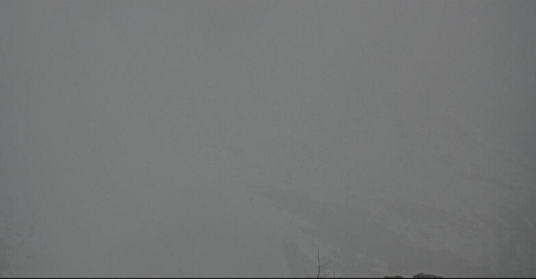 Webcam San Martino di Castrozza - Passo Rolle  - Tognola - Pista Cigolera