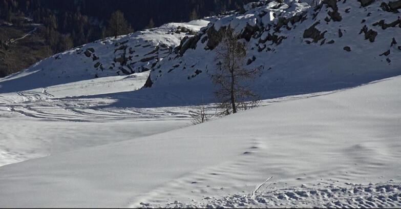 Webcam San Martino di Castrozza - Passo Rolle - Pista Tognola UNO
