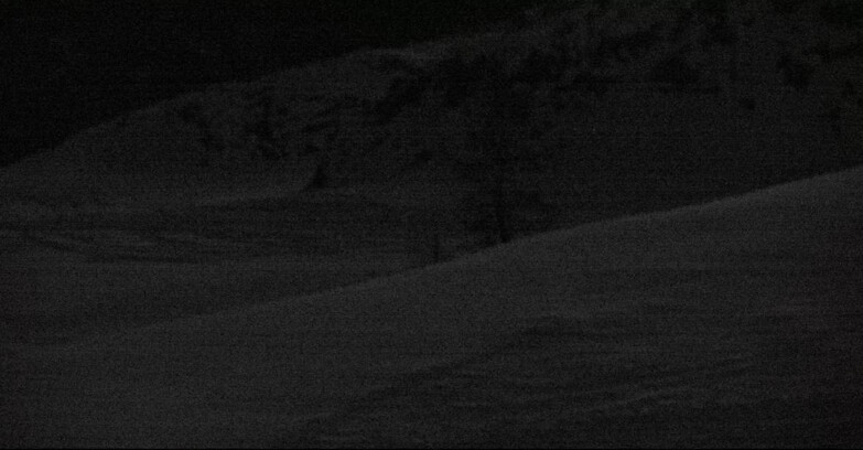 Webcam San Martino di Castrozza - Passo Rolle - Pista Tognola UNO