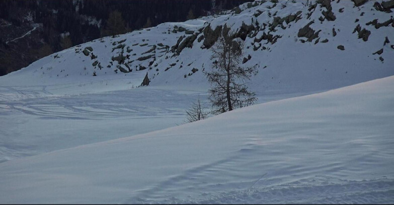 Webcam San Martino di Castrozza - Passo Rolle - Pista Tognola UNO