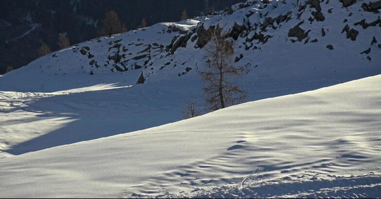 Webcam San Martino di Castrozza - Passo Rolle - Pista Tognola UNO