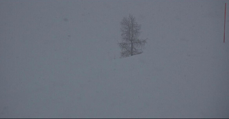 Webcam San Martino di Castrozza - Passo Rolle - Pista Tognola UNO