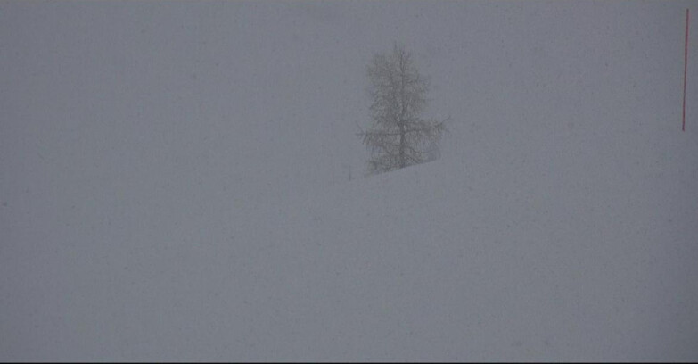 Webcam San Martino di Castrozza - Passo Rolle - Pista Tognola UNO
