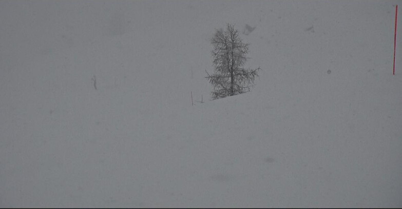 Webcam San Martino di Castrozza - Passo Rolle - Pista Tognola UNO