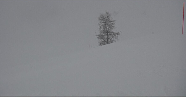 Webcam San Martino di Castrozza - Passo Rolle - Pista Tognola UNO