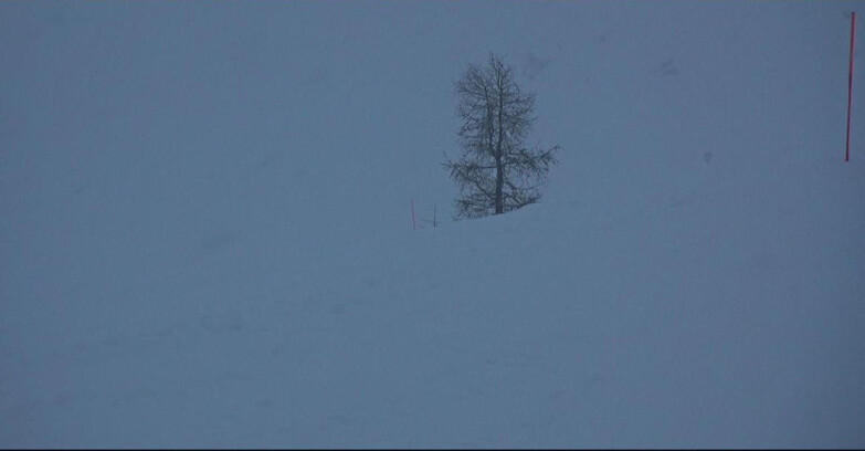 Webcam San Martino di Castrozza - Passo Rolle - Pista Tognola UNO