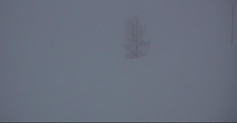Webcam San Martino di Castrozza - Passo Rolle - Pista Tognola UNO
