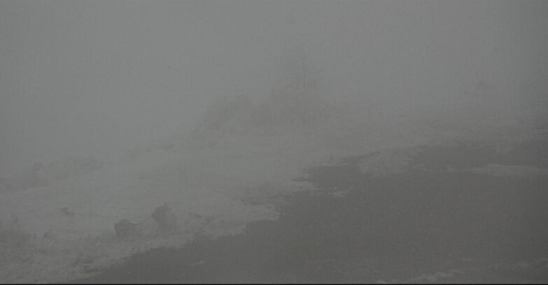 Webcam San Martino di Castrozza - Passo Rolle - Pista Tognola UNO