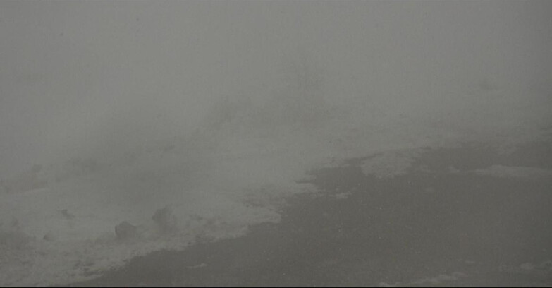 Webcam San Martino di Castrozza - Passo Rolle - Pista Tognola UNO