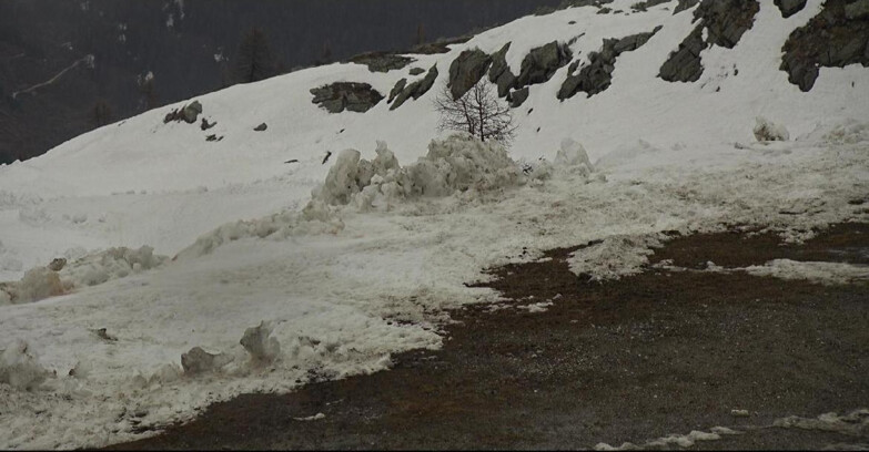 Webcam San Martino di Castrozza - Passo Rolle - Pista Tognola UNO