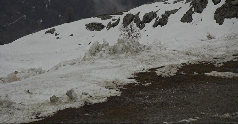 Webcam San Martino di Castrozza - Passo Rolle - Pista Tognola UNO