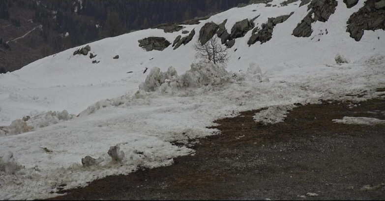 Webcam San Martino di Castrozza - Passo Rolle - Pista Tognola UNO