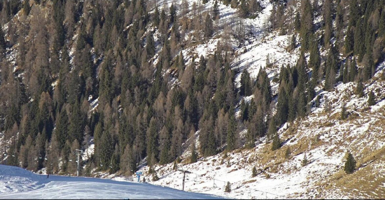 Webcam San Martino di Castrozza - Passo Rolle - Tognola - Pista Scandola